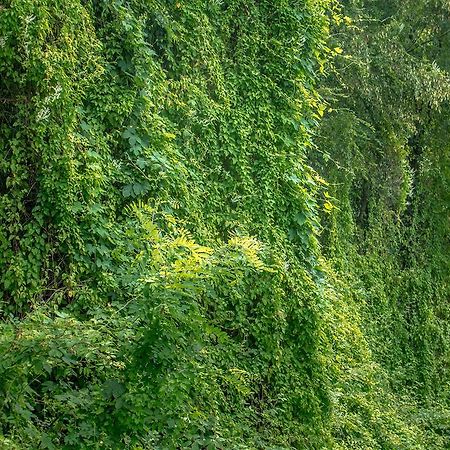 Villa Turisticna Kmetija Stanfel Podsabotin Exterior foto