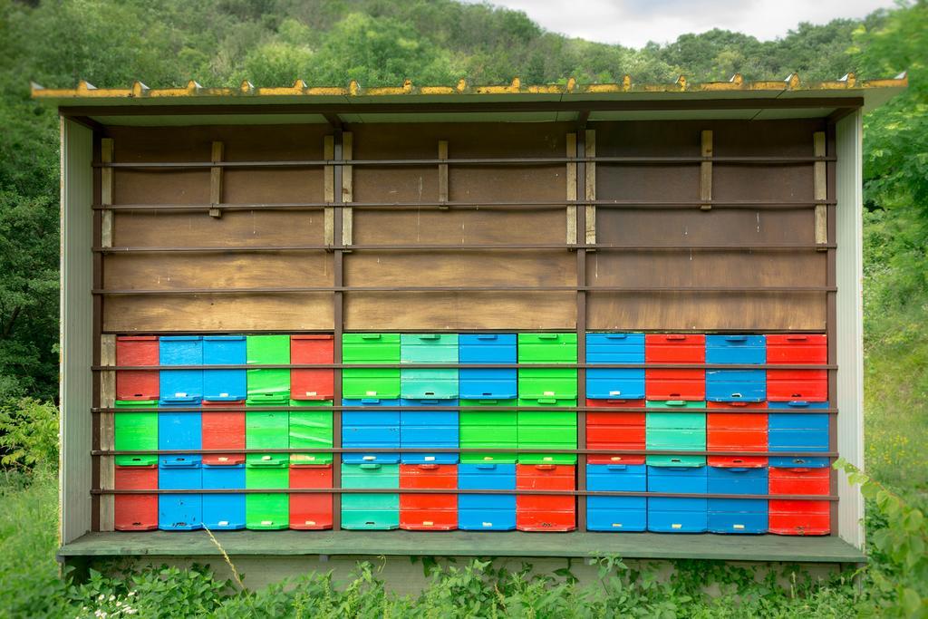 Villa Turisticna Kmetija Stanfel Podsabotin Exterior foto