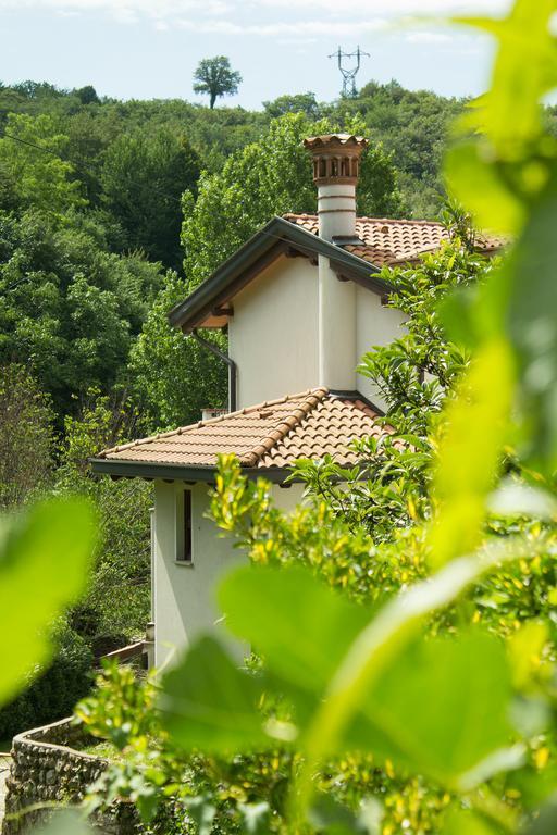 Villa Turisticna Kmetija Stanfel Podsabotin Exterior foto